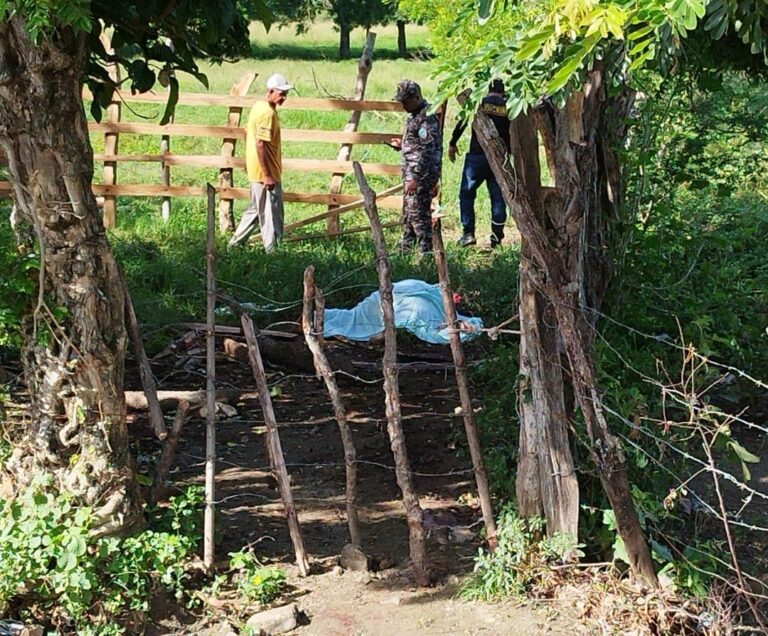 a836894d-972d-46b7-8142-97fa70be1694