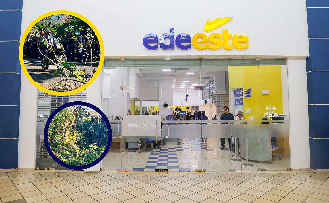 56f34d87-c4b8-4975-8e23-fd2f03fab169